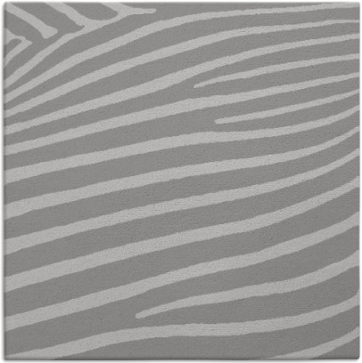 zebra rug - item 531828