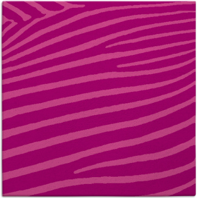zebra rug - item 531834