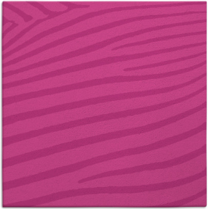zebra rug - item 531835