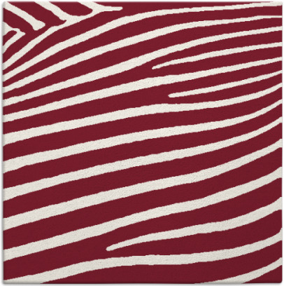 zebra rug - item 531838