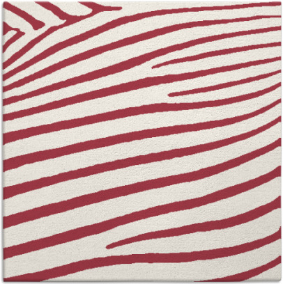 zebra rug - item 531839