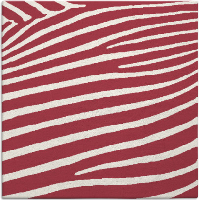 zebra rug - item 531840