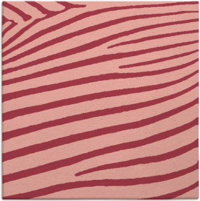 zebra rug - item 531841