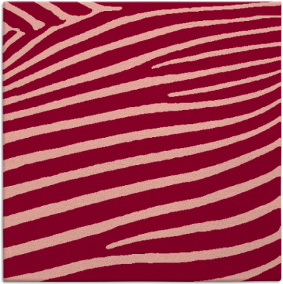 zebra rug - item 531844