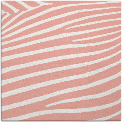 zebra rug - item 531846