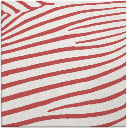 zebra rug - item 531847