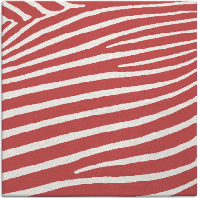 zebra rug - item 531848