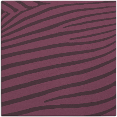 zebra rug - item 531849