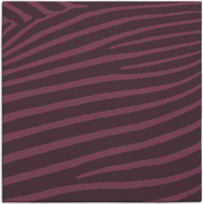 zebra rug - item 531850