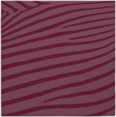 zebra rug - item 531851