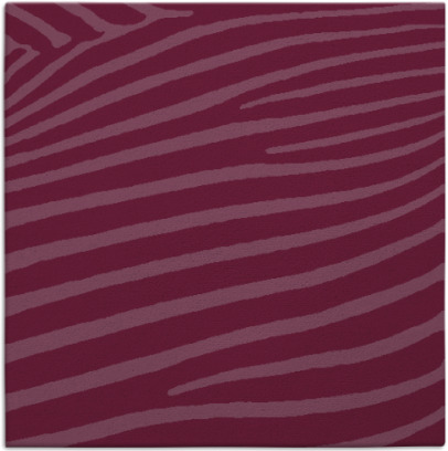 zebra rug - item 531852