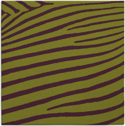 zebra rug - item 531853