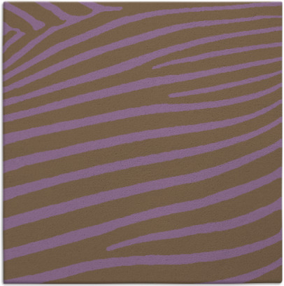 zebra rug - item 531859