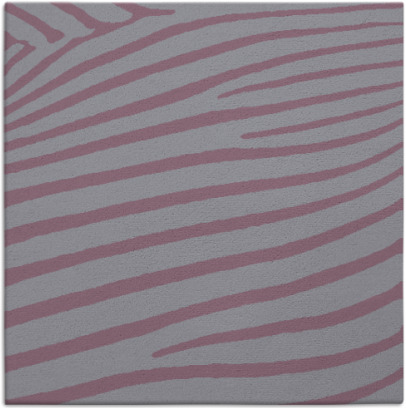 zebra rug - item 531863