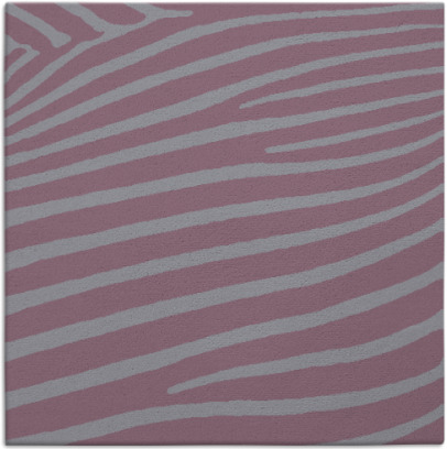 zebra rug - item 531864
