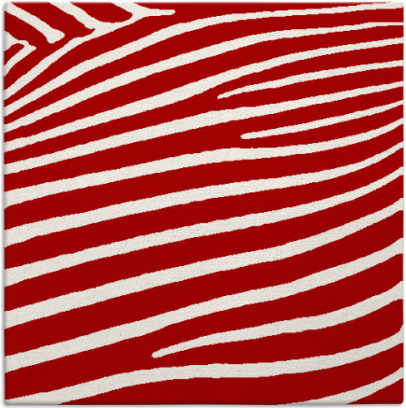 zebra rug - item 531866