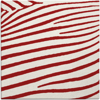 zebra rug - item 531873