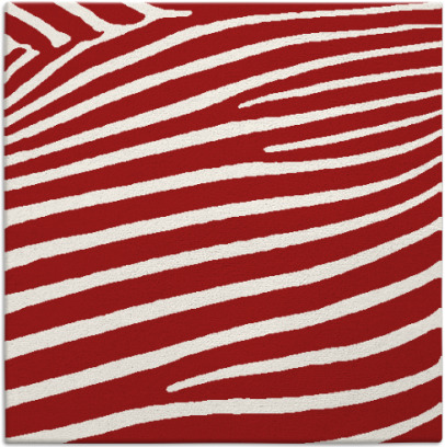zebra rug - item 531874