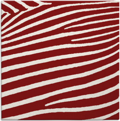zebra rug - item 531876