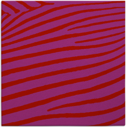 zebra rug - item 531877
