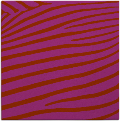 zebra rug - item 531879