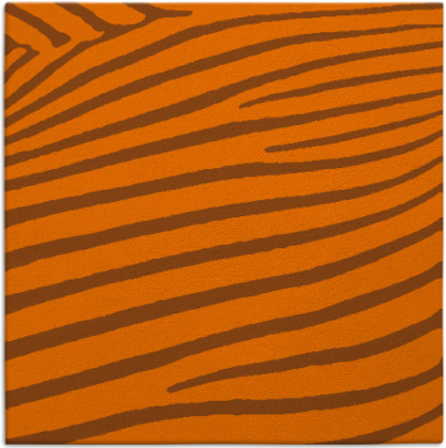 zebra rug - item 531883