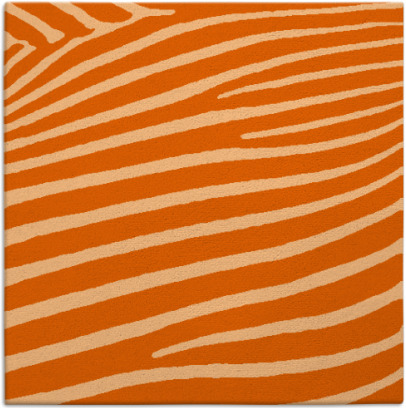 zebra rug - item 531886