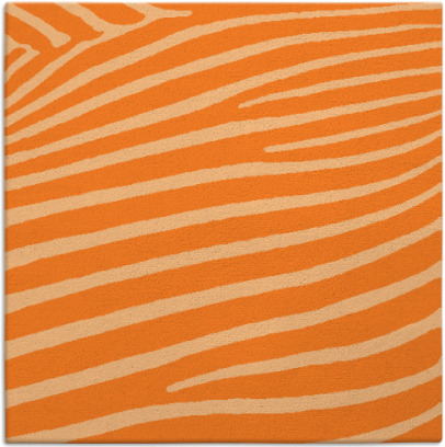 zebra rug - item 531888