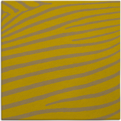 zebra rug - item 531891