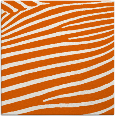 zebra rug - item 531893