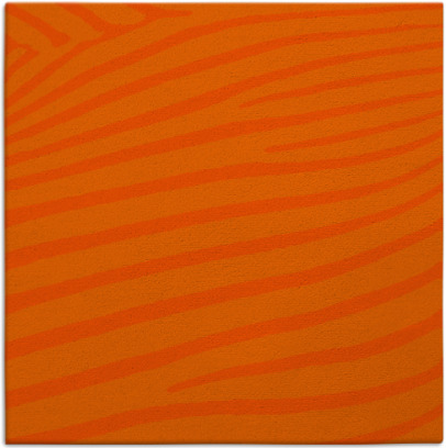 zebra rug - item 531895