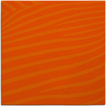 zebra rug - item 531896