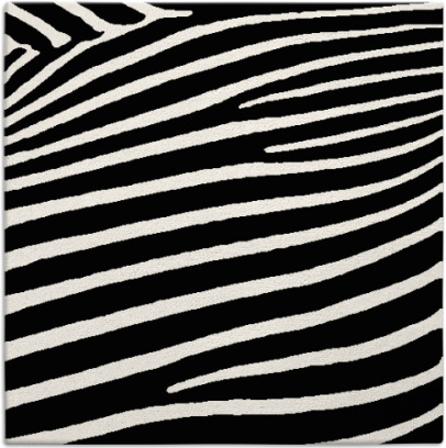 zebra rug - item 531897