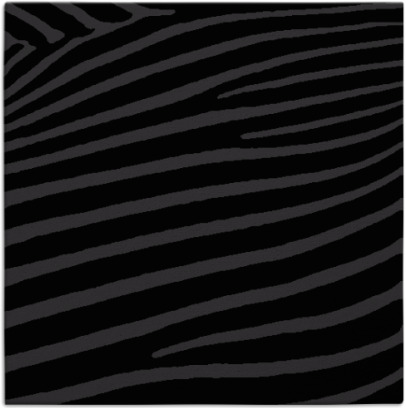 zebra rug - item 531899