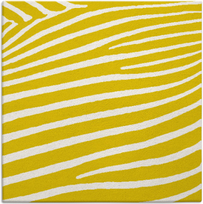 zebra rug - item 531901