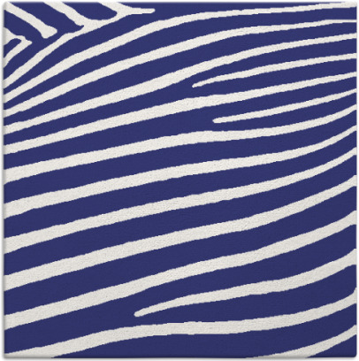 zebra rug - item 531905