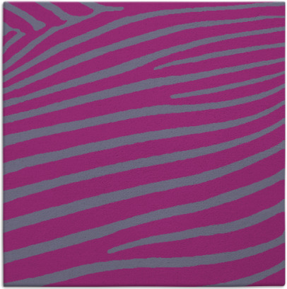zebra rug - item 531938