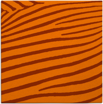 zebra rug - item 531943