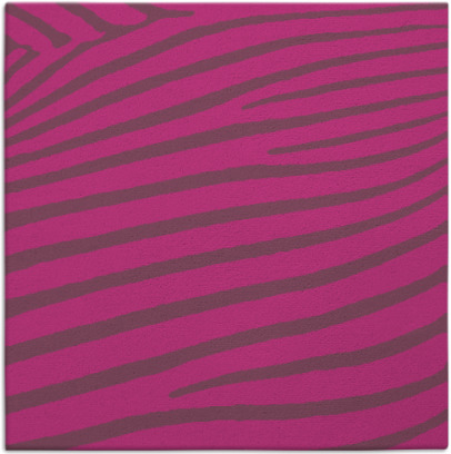 zebra rug - item 531955