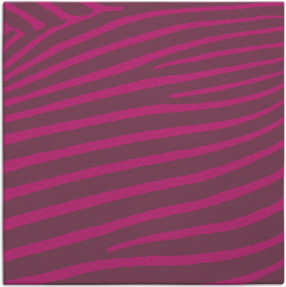 zebra rug - item 531956