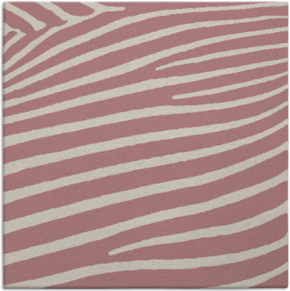 zebra rug - item 531966