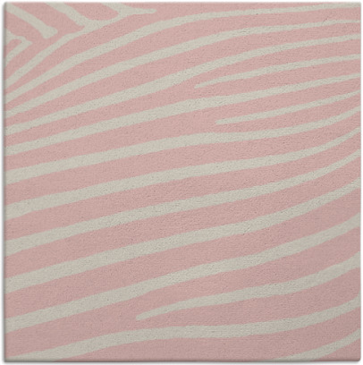 zebra rug - item 531968
