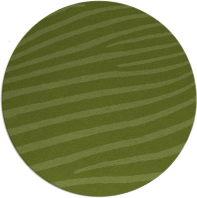 zebra rug - item 532720