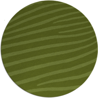 zebra rug - item 532806
