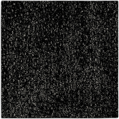 century rug - item 535420