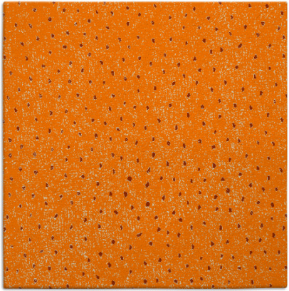 century rug - item 535464