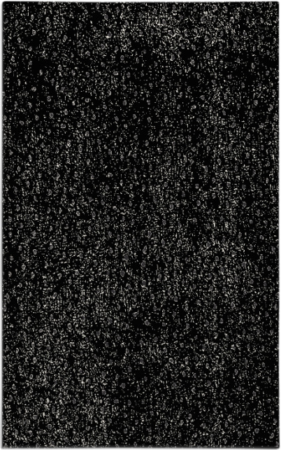 century rug - item 536124