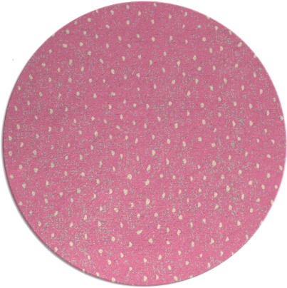 century rug - item 536301