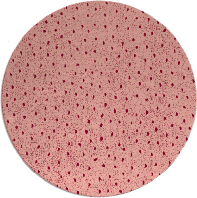 century rug - item 536420