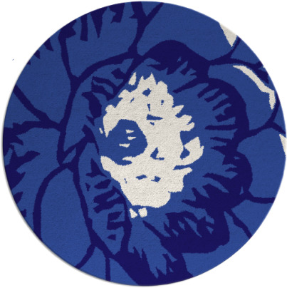 fossa rug - item 541585